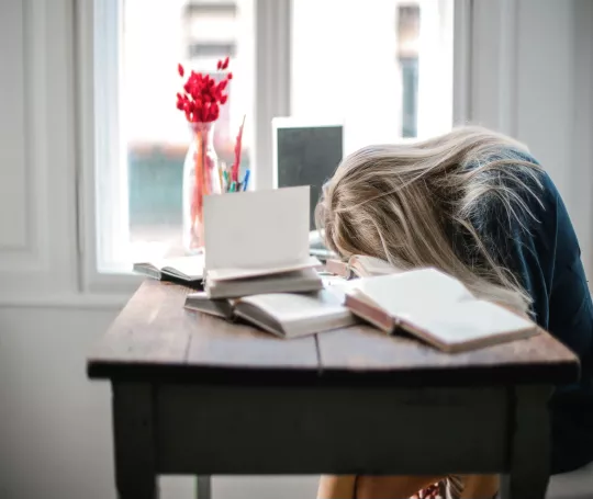 Acoso Sexual en el Trabajo: Prevención y Protocolos